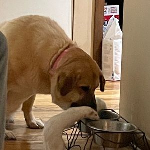 Meet your Posher, Eric